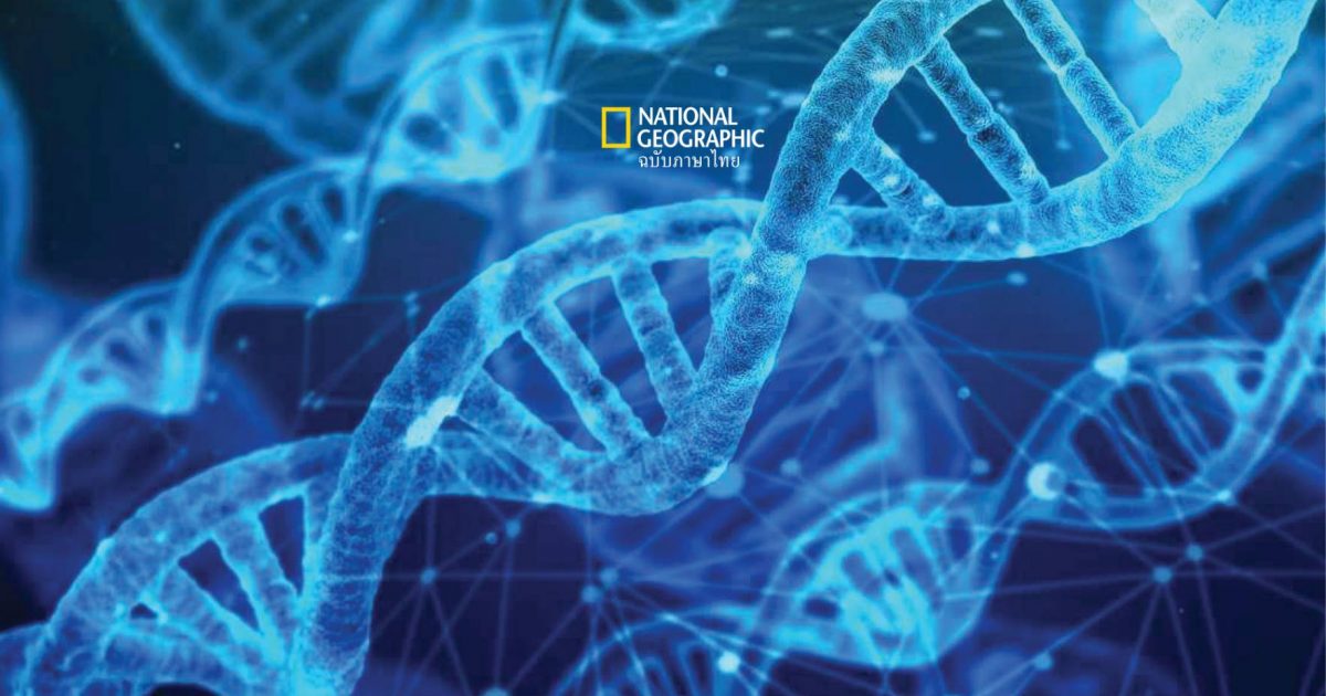 แพนจีโนม โครงการรวบรวมข้อมูลทางพันธุกรรมของมนุษย์จากหลากหลายชาติพันธุ์