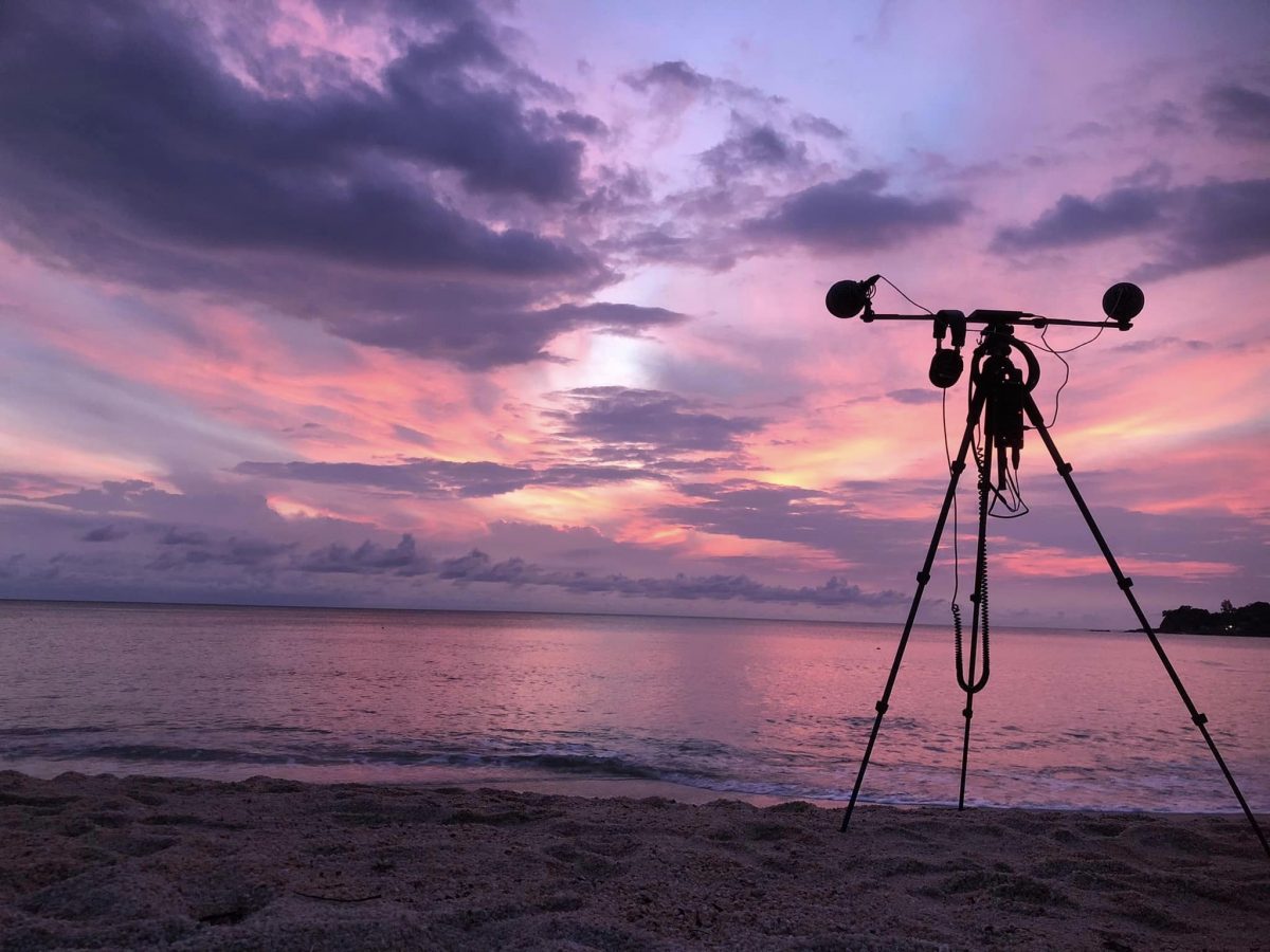 ไพรสาร, เสียงธรรมชาติ