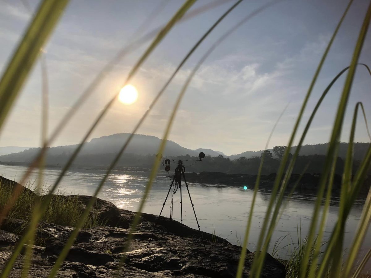 ไพรสาร, เสียงธรรมชาติ