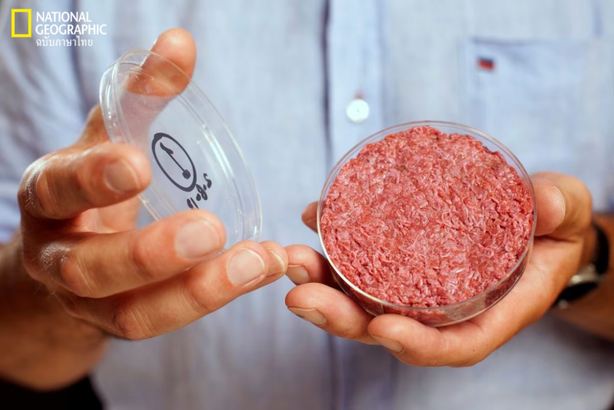 เนื้อสัตว์เพาะเลี้ยง