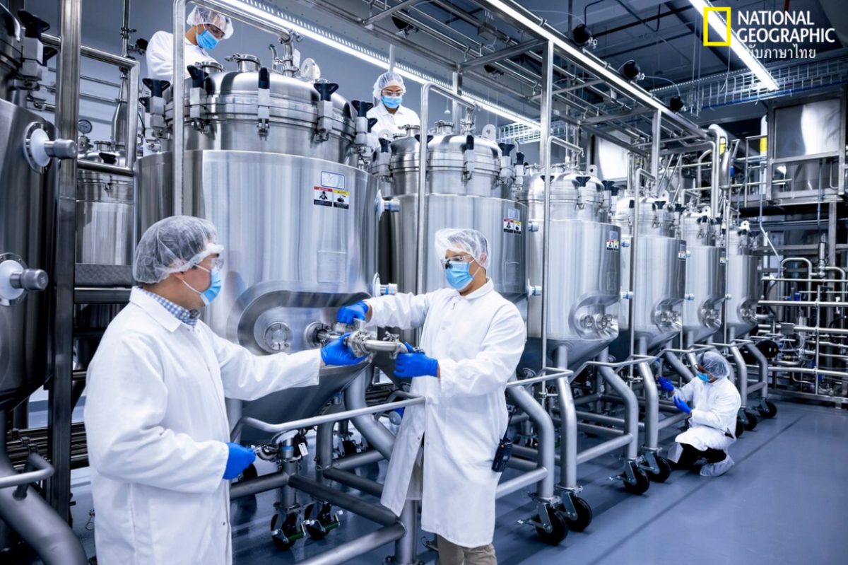 เนื้อสัตว์เพาะเลี้ยง