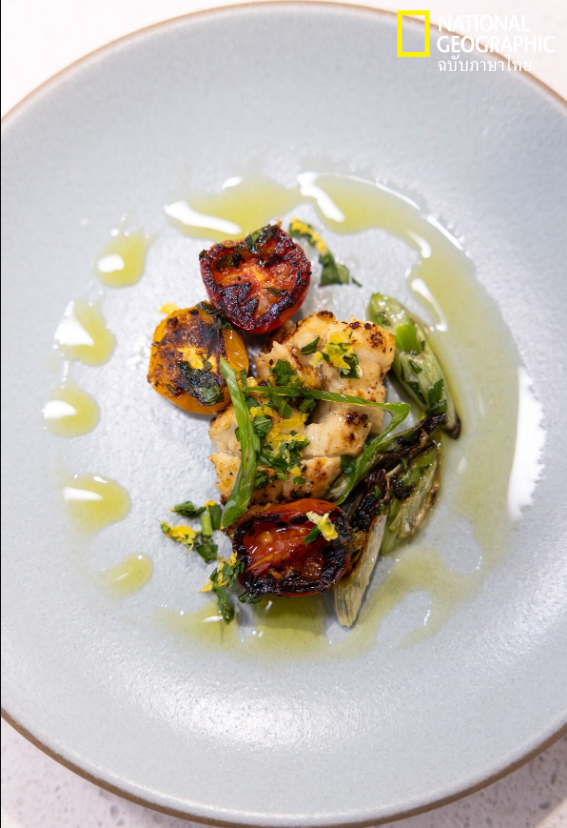 เนื้อสัตว์เพาะเลี้ยง