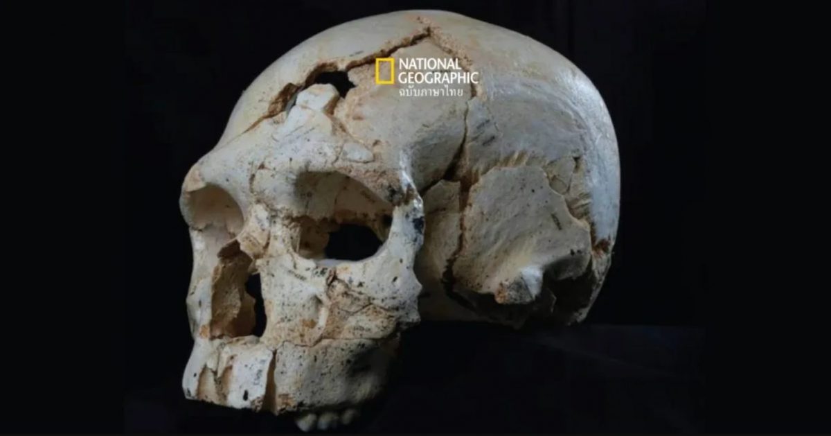 เรื่องราวของเหยื่อ ฆาตกรรมเก่าแก่ที่สุดในโลก ที่ย้อนกลับไปได้ถึง 430,000 ปี ในถ้ำที่สเปน