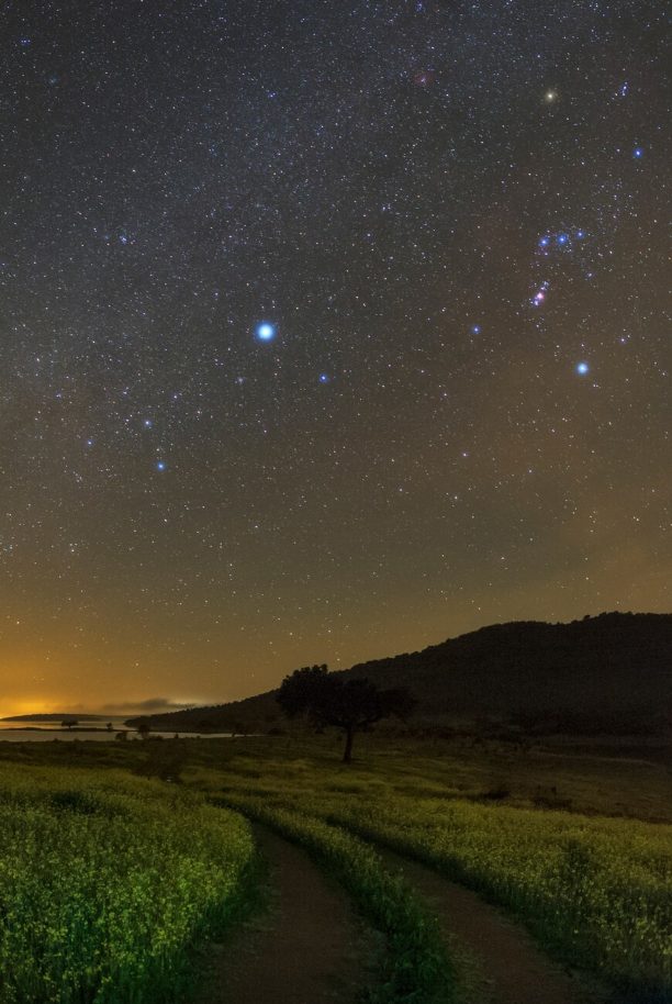 กลุ่มดาวสุนัขใหญ่, กลุ่มดาว 