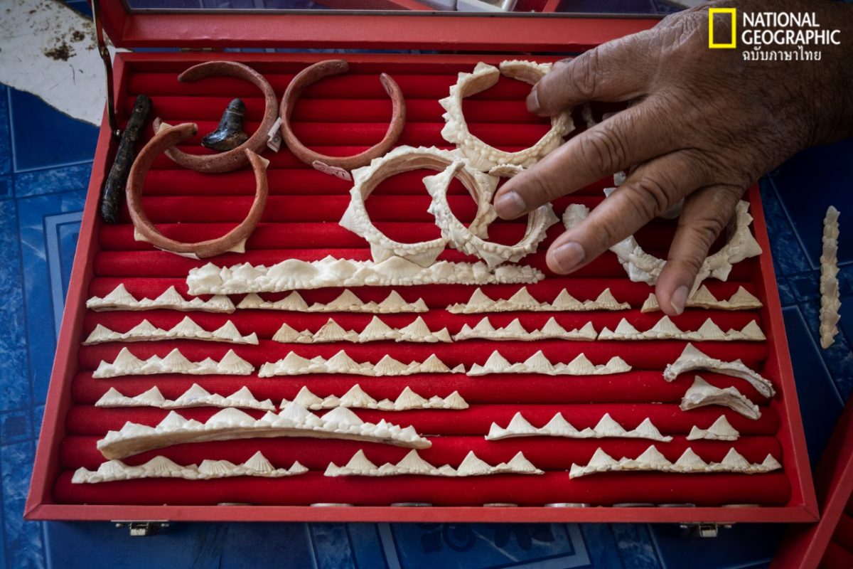 ปลาโรนิน