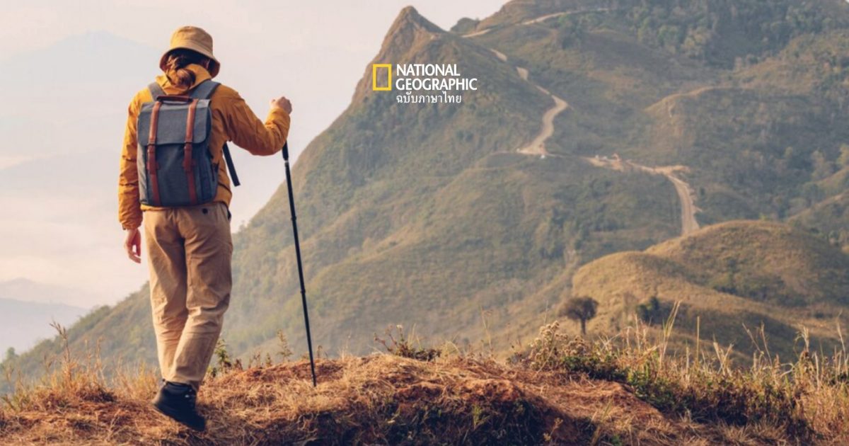 ฟาร์มกาแฟ ชาวเขา สวนลาหู่ จ. เชียงราย ในมุม National Geographic