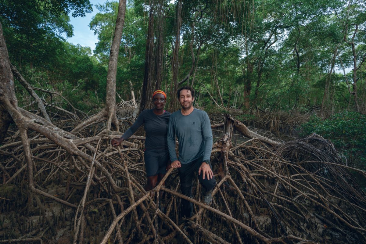 ป่าโกงกาง แอมะซอน