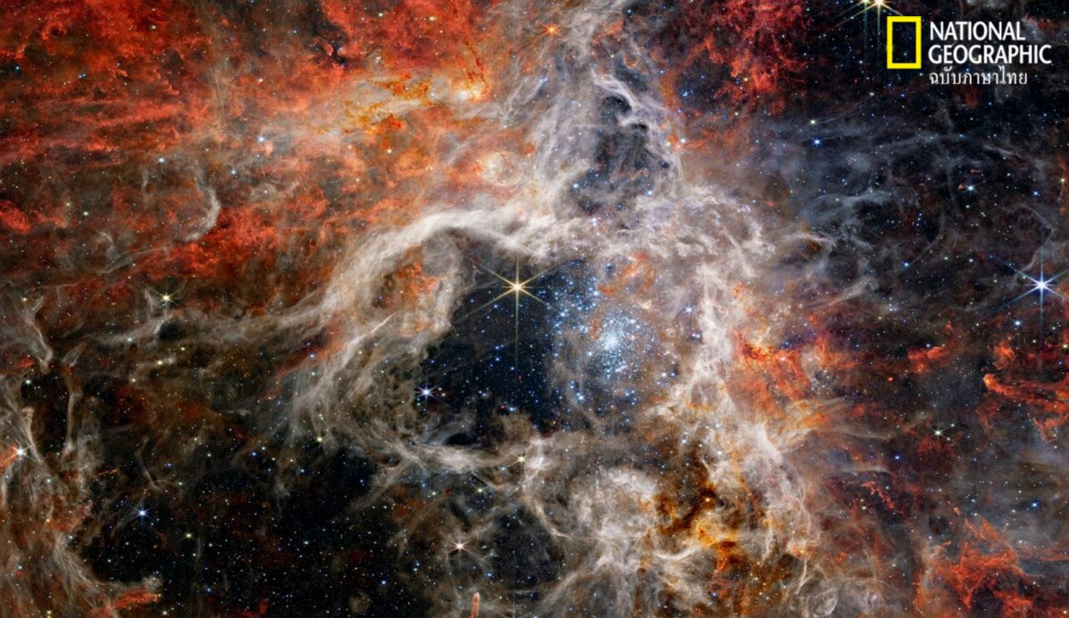 การเกิดดาวฤกษ์