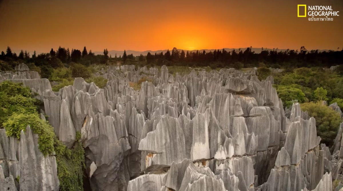 ธรณีภาค, ป่าหิน, หินปูน