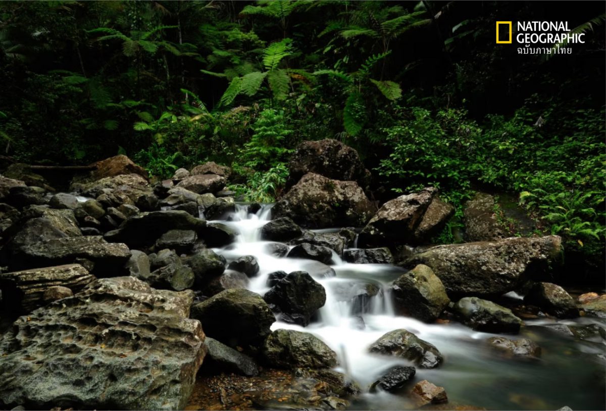 La Mina, น้ำตก, แม่น้ำ