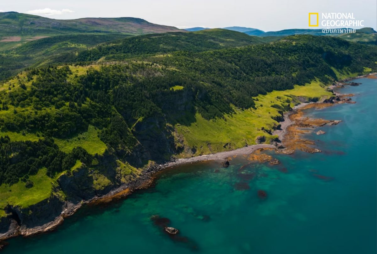 ฟยอร์ด, แคนาดา, ป่าบำบัด