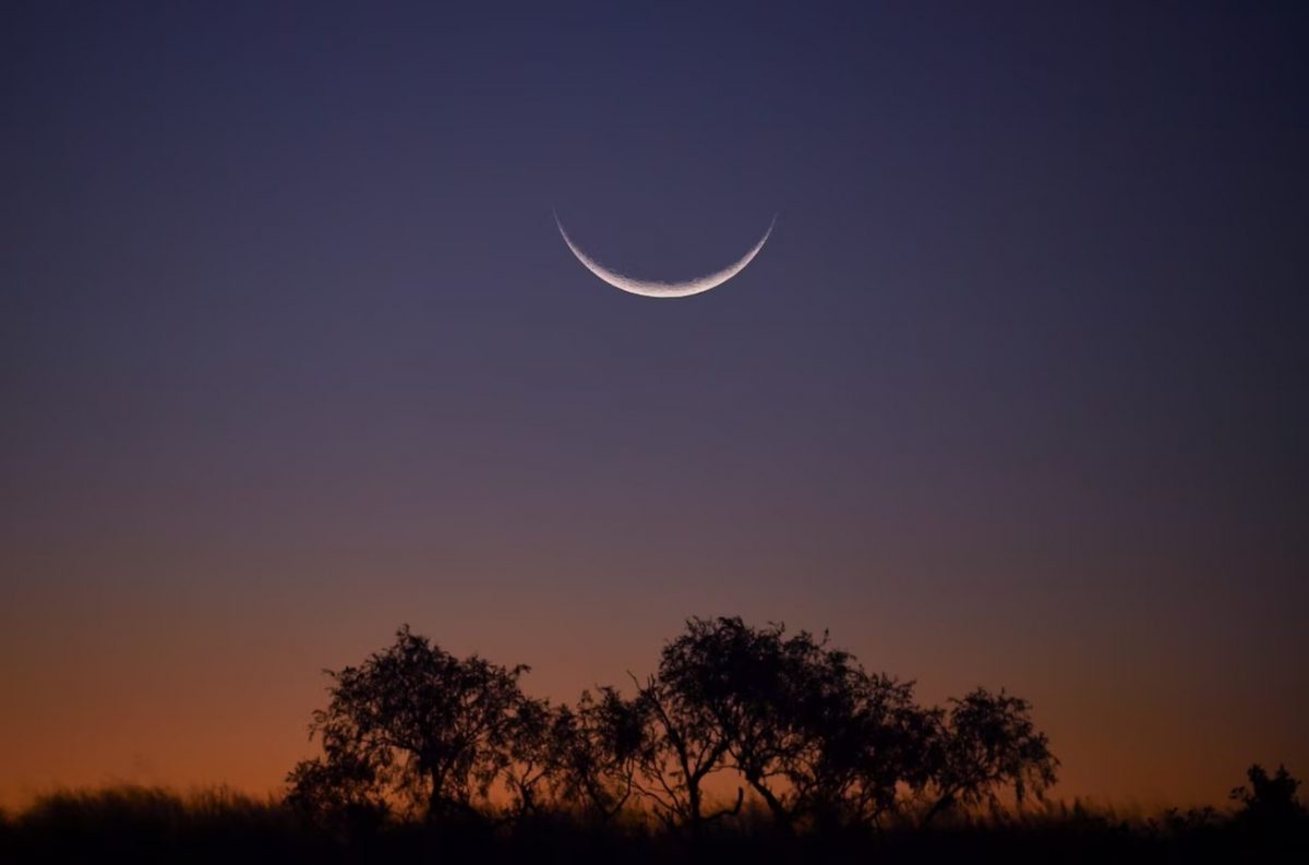 พระจันทร์เสี้ยว, ถ่ายภาพกลางคืน, ทะเลทราย, Kalahari, แอฟริกาใต้