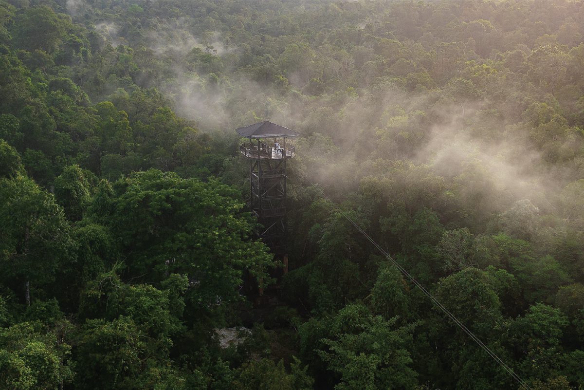 zip line among the rainforest Campodia