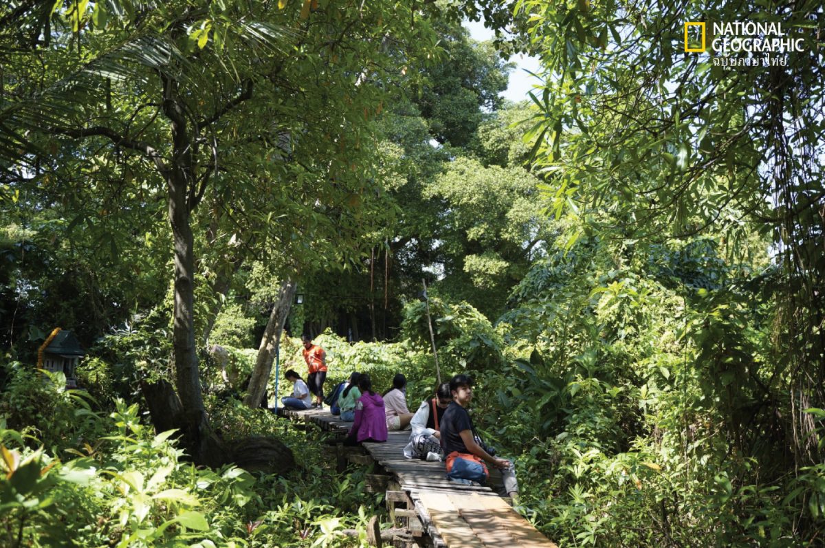 สวนสาธารณะ ที่มีคนหลายคน นั่งอยู่บนสะพาน