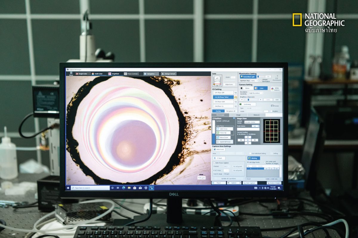 “Thailand Liquid Crystals in Space (TLC)