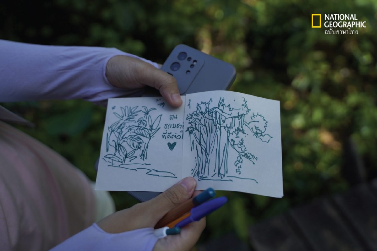 ภาพร่างด้วยปากกาในสมุด