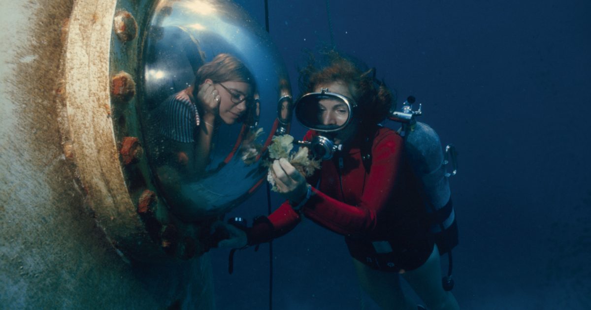 Sylvia Earle showing the seaweed while diving in deep ocean