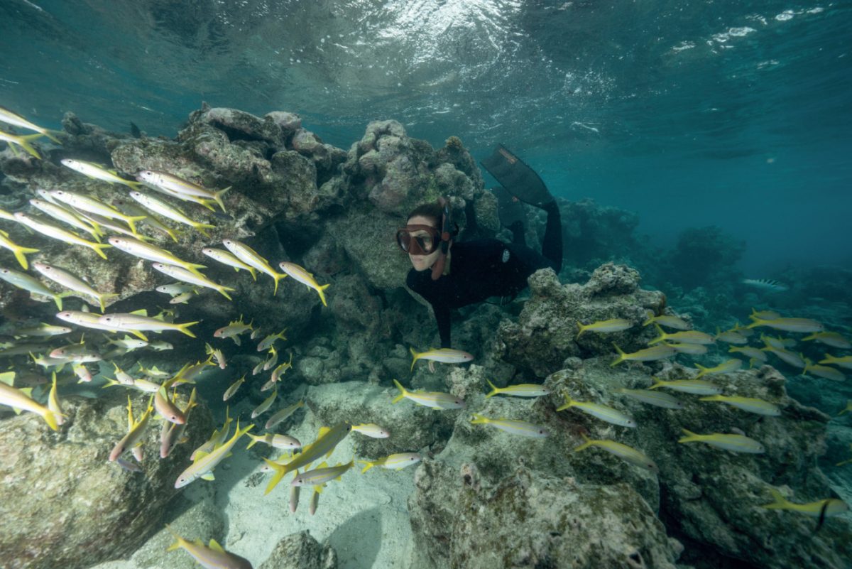 Jessica Cramp is diving among fish in Rarotonga, Cook Islands