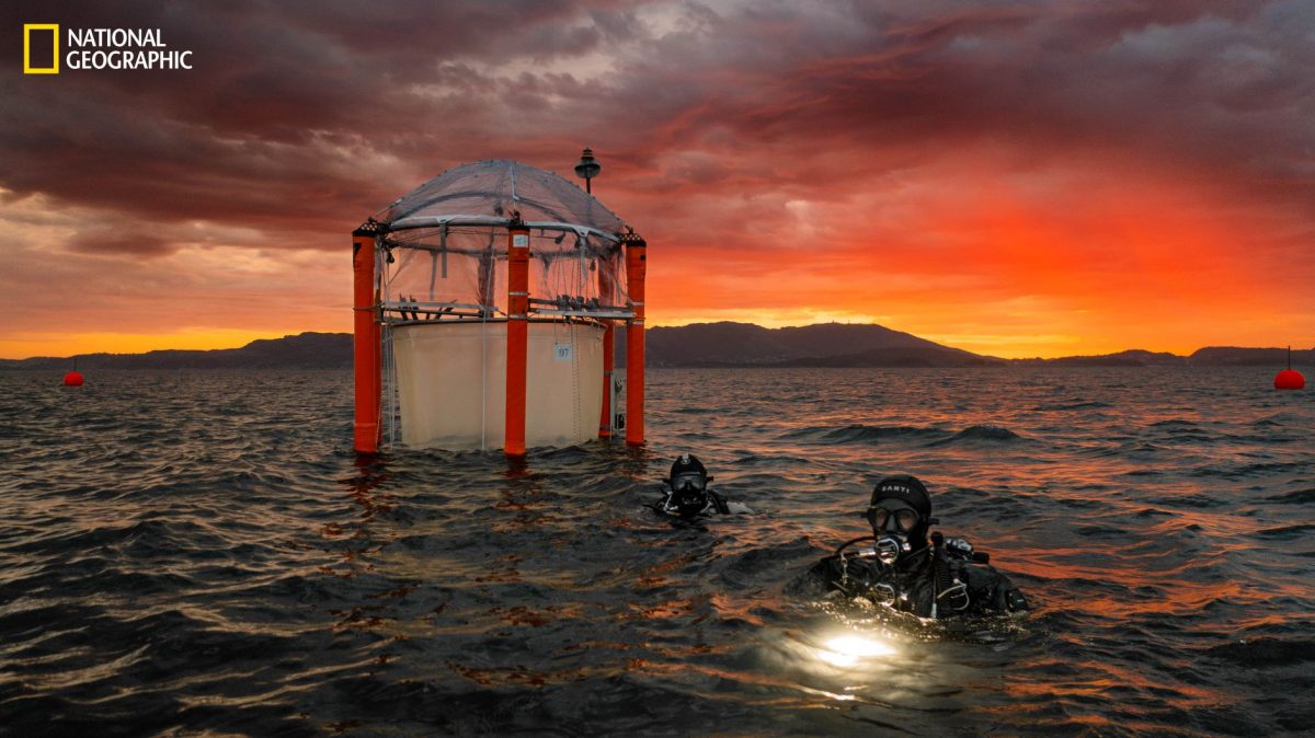 กำจัดคาร์บอน, คาร์บอนไดออกไซด์