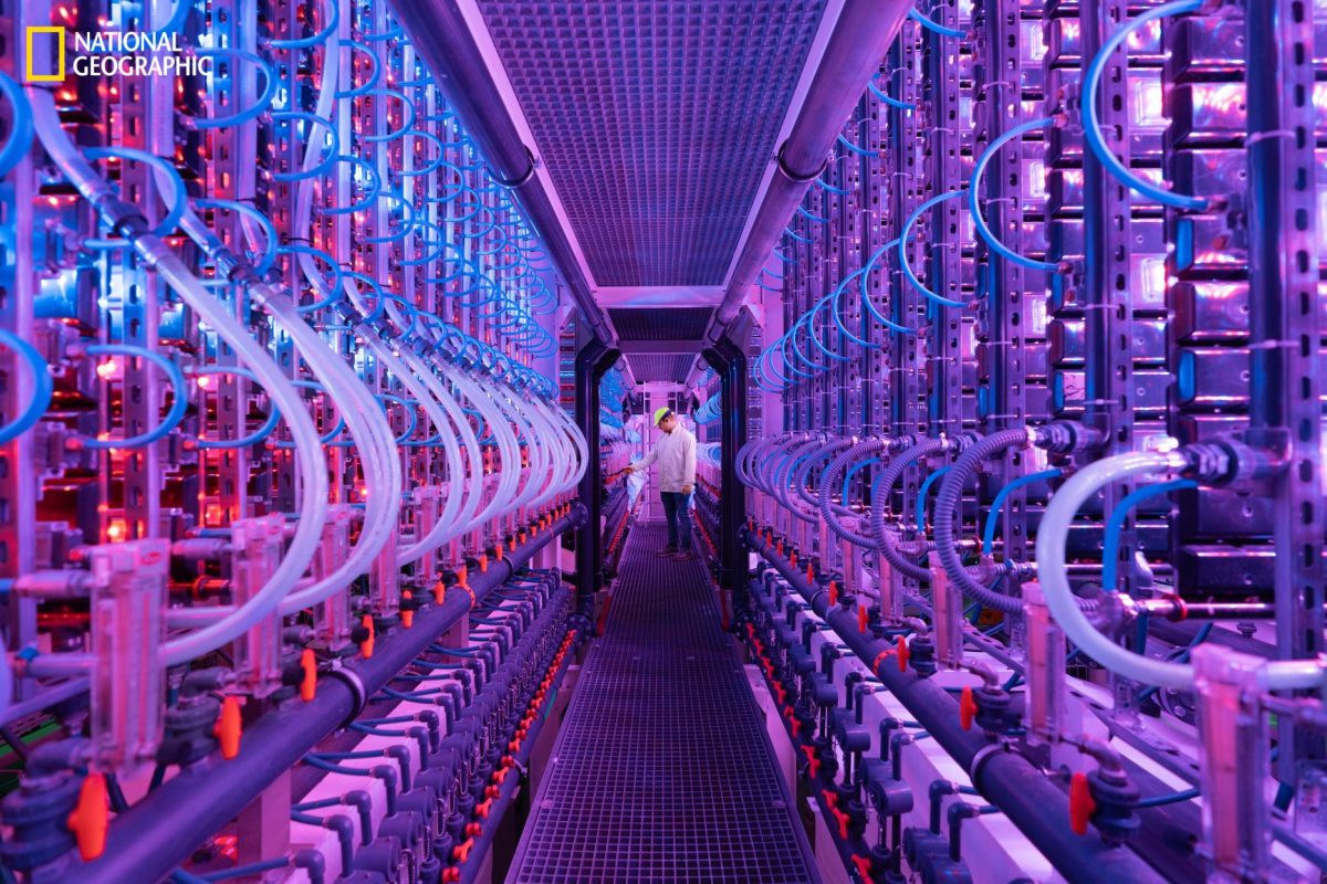 โรงไฟไฟ้า, จำกัดคาร์บอน