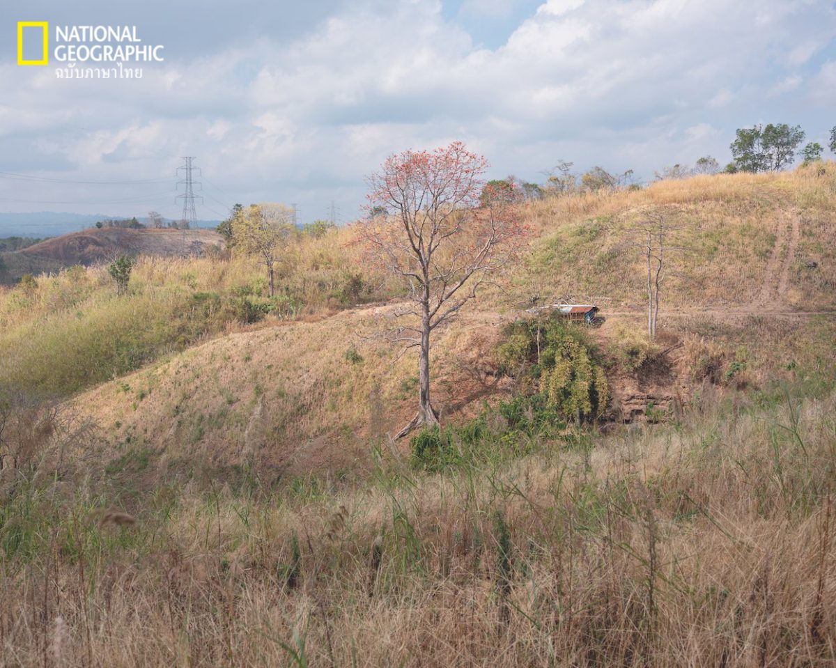 ทุ่นระเบิด, เหยื่อทุ่นระเบิด, เขาค้อ