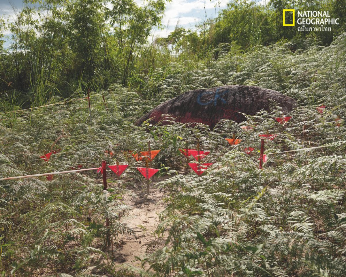 ทุ่นระเบิด, เหยื่อทุ่นระเบิด, ตราด