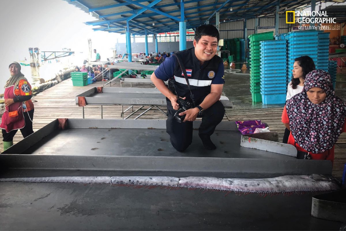 ปลาออร์ฟิช (Oarfish)