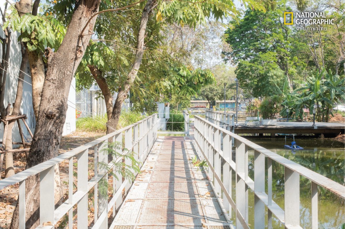 วิทยาลัยพัฒนศาสตร์ ป๋วย อึ๊งภากรณ์ 