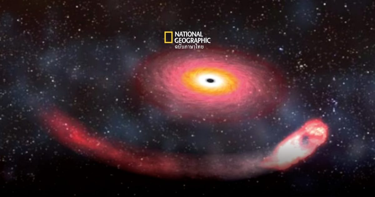 หลุมดำปรสิต หลุมดำที่ดูดกลืนมวลสารของดาวฤกษ์จากภายใน