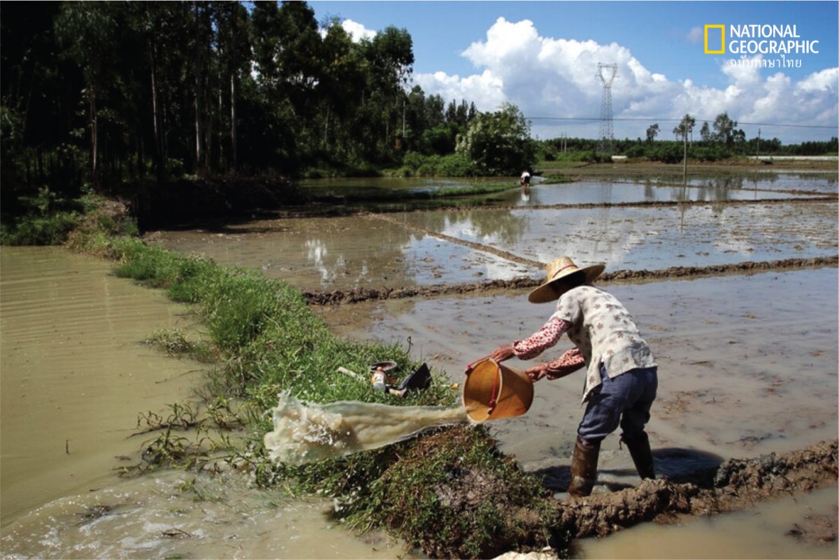 พื้นที่ชุ่มน้ำ