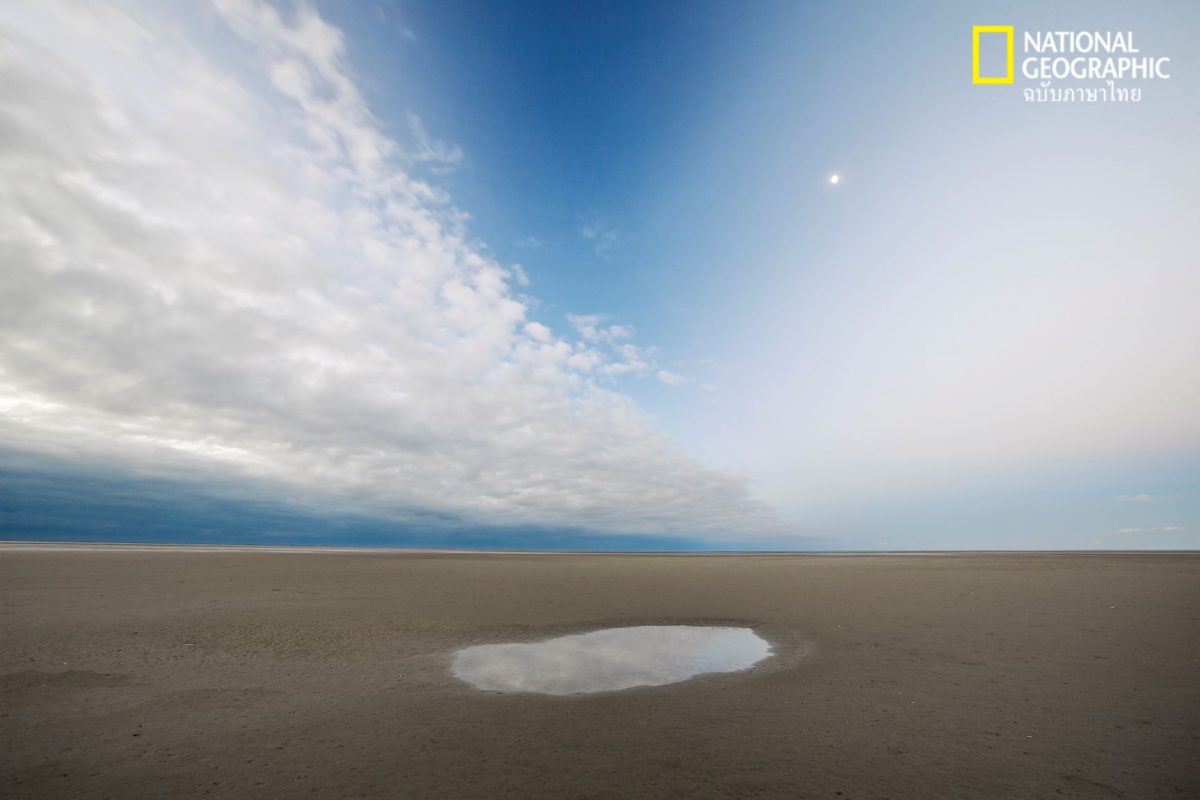 เกาะร้าง, เนเธอร์แลนด์