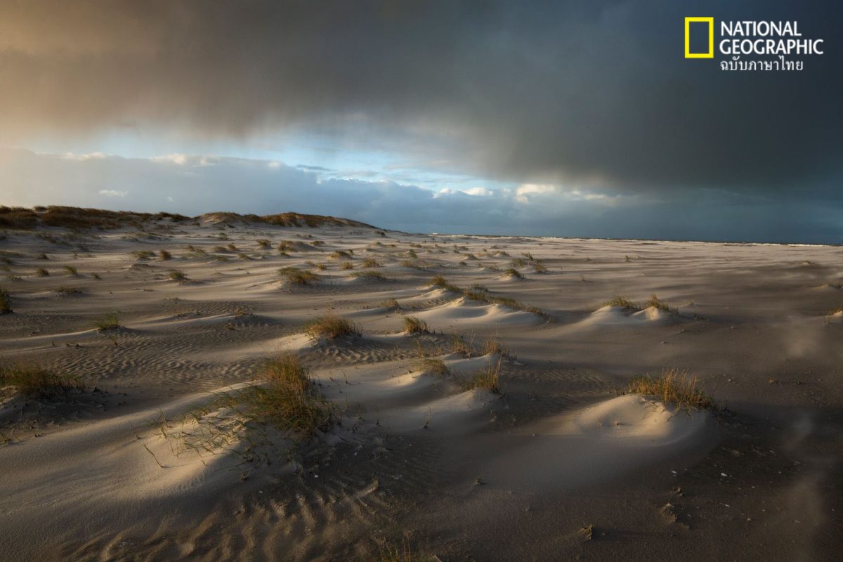 เกาะร้าง, เนเธอร์แลนด์