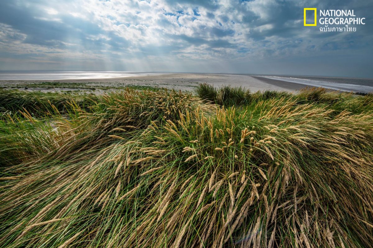 เกาะร้าง, เนเธอร์แลนด์