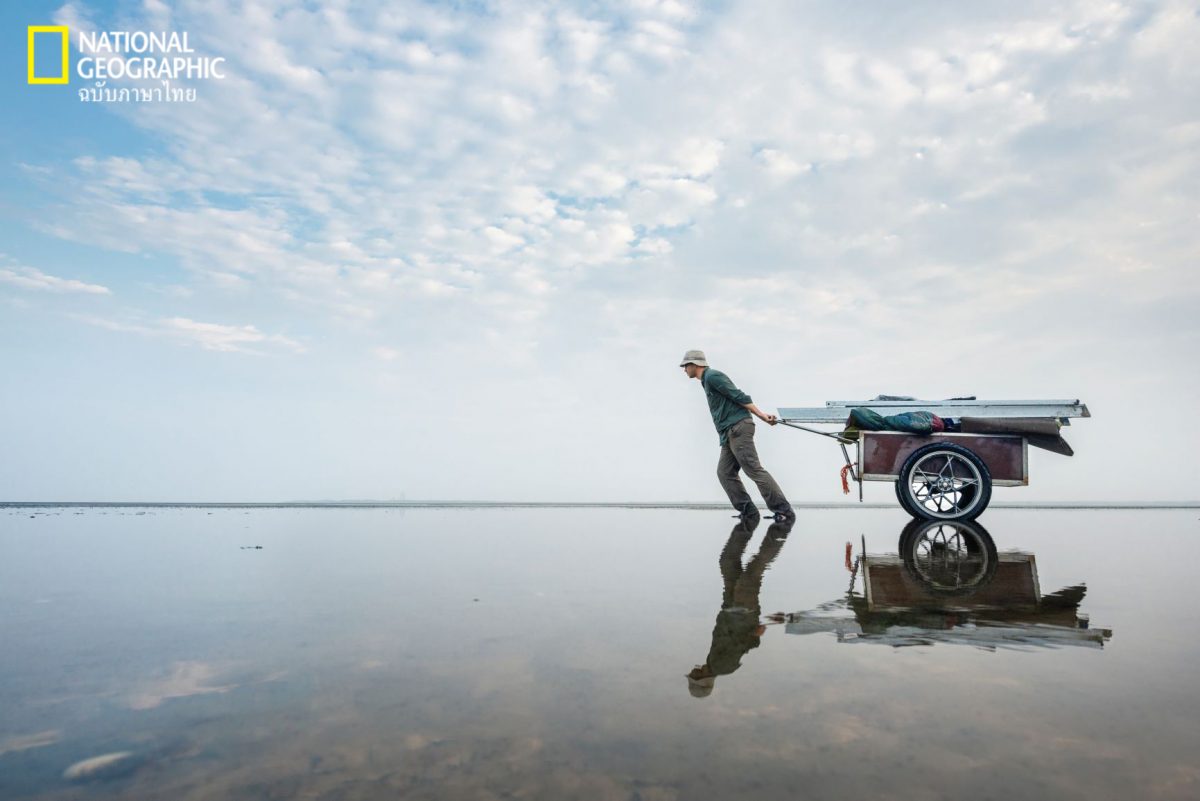 เกาะร้าง, เนเธอร์แลนด์