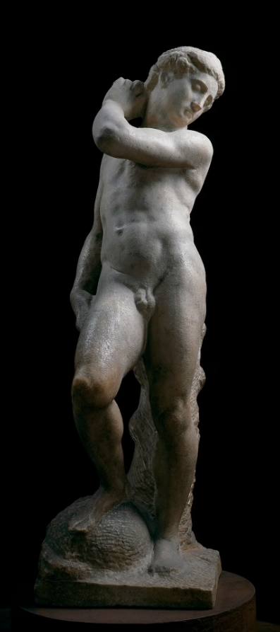 มีเกลันเจโล, ไมเคิลแองเจโล