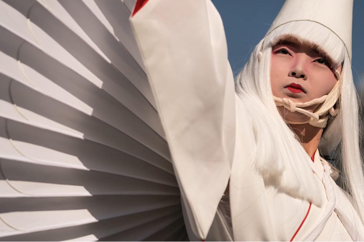 เด็กชายกับนกกระสา, นกกระสา