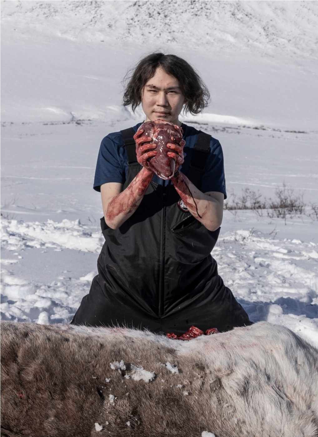 กวางคาริบู