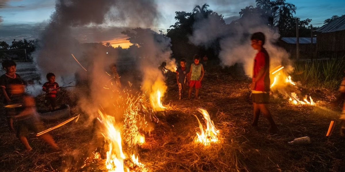 ชนเผ่าแอมะซอน, บราซิล