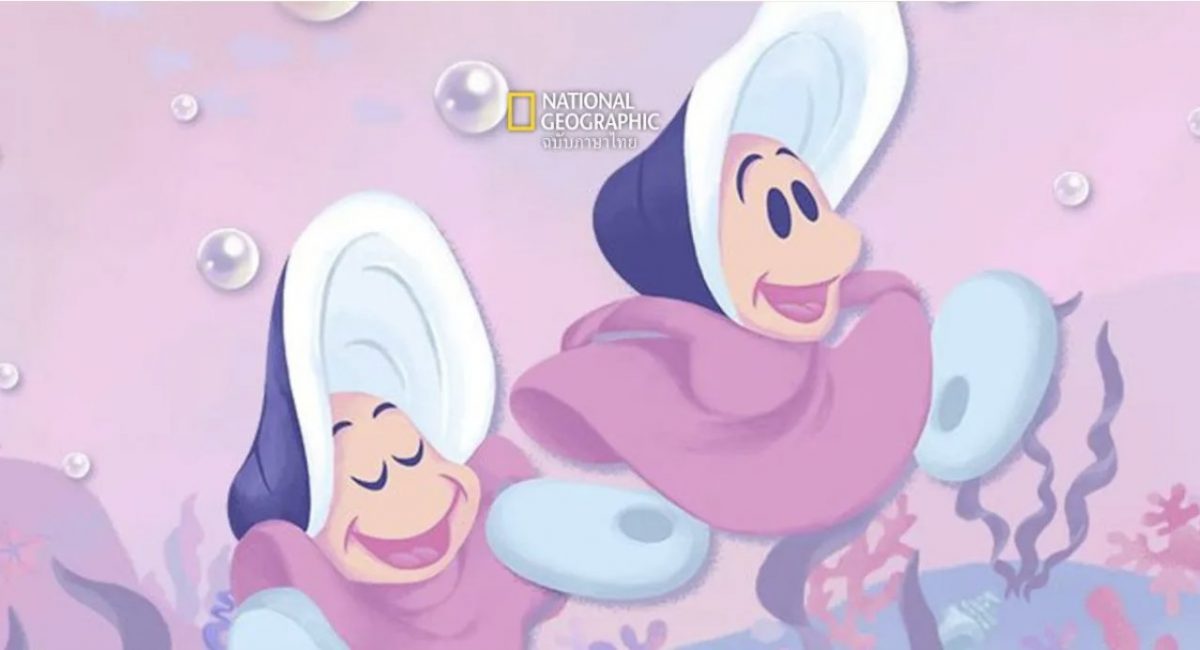 หอยนางรม อลิซในแดนมหัศจรรย์