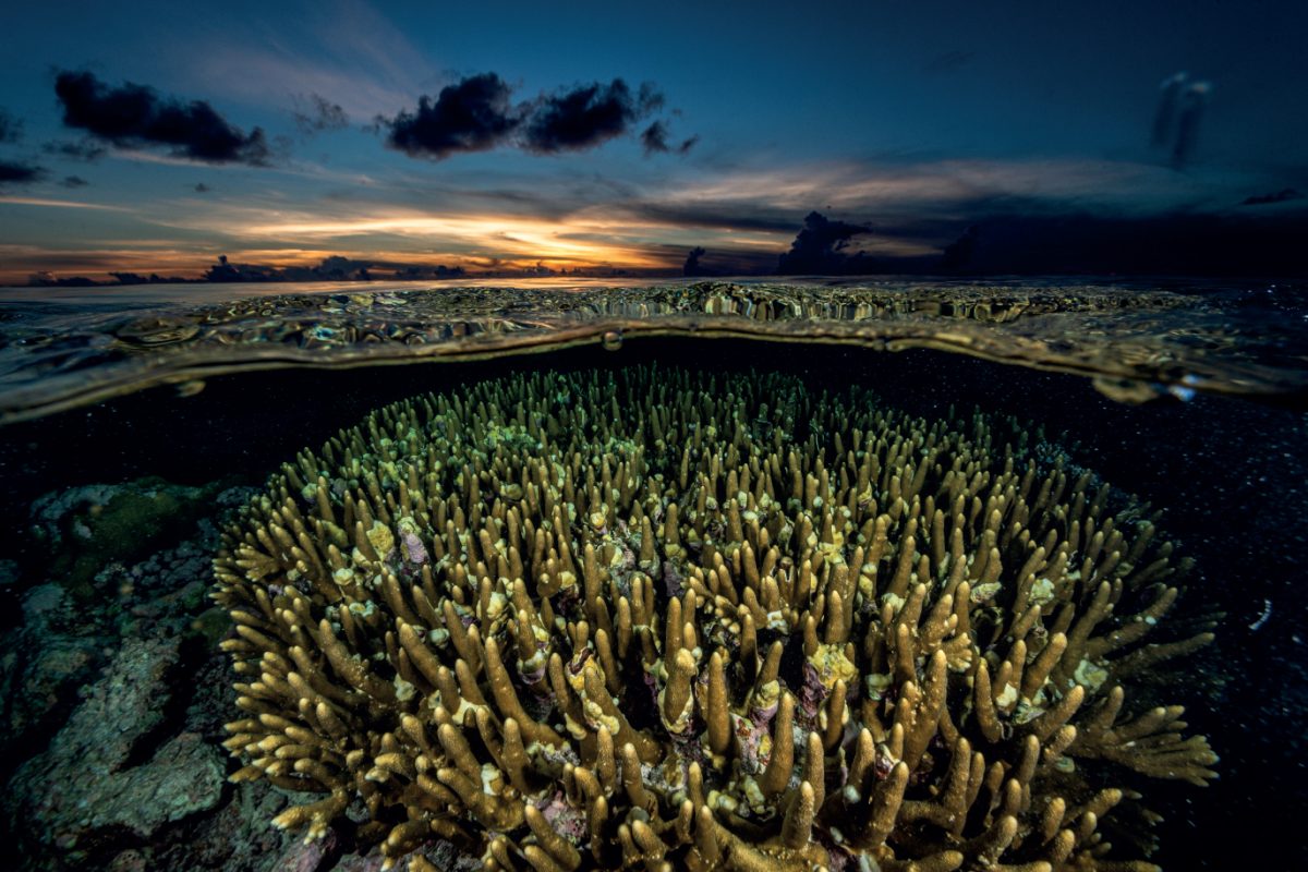 ท้องฟ้ายามพระอาทิตย์ตก เหนือ แนวปะการัง
