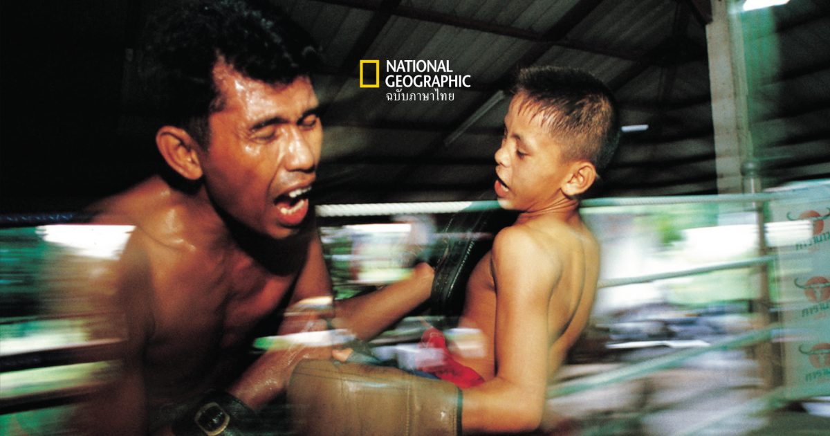 child boxer thailand