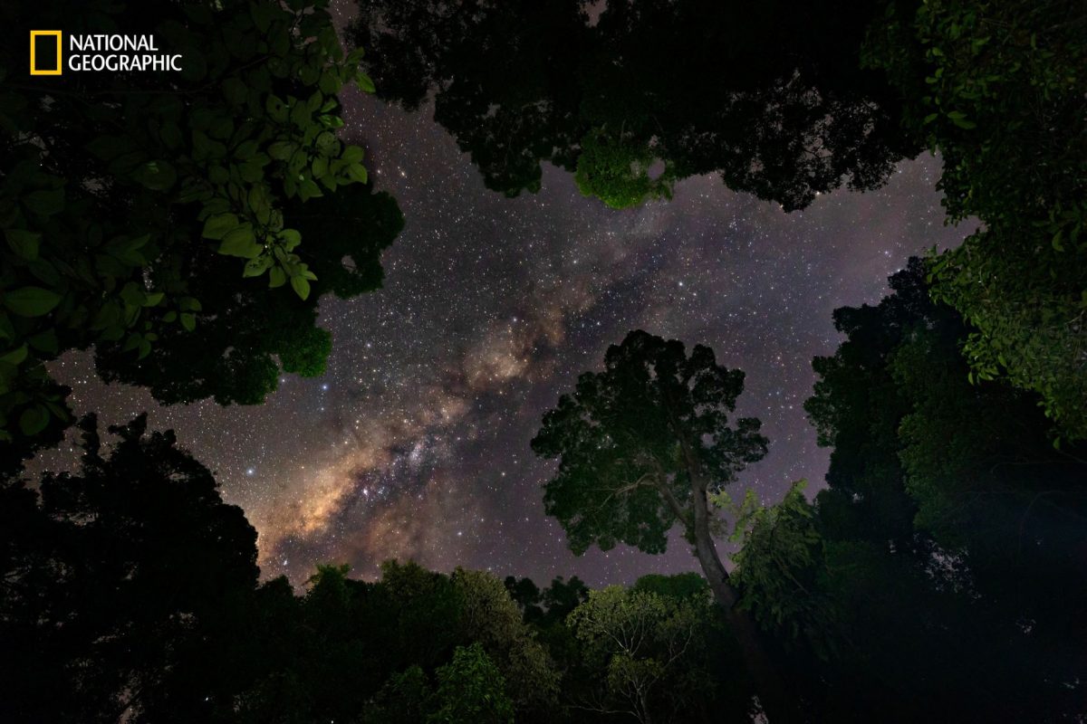 ทางช้างเผือก, กุหนุงปาลุง, อินโดนีเซีย, ป่าฝน, เกาะบอร์เนียว