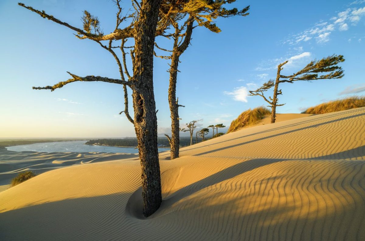 ภาพยนตร์ Dune, เนินทราย