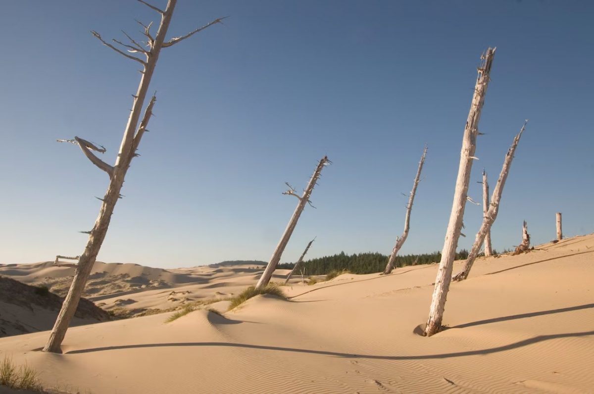 ภาพยนตร์ Dune, เนินทราย