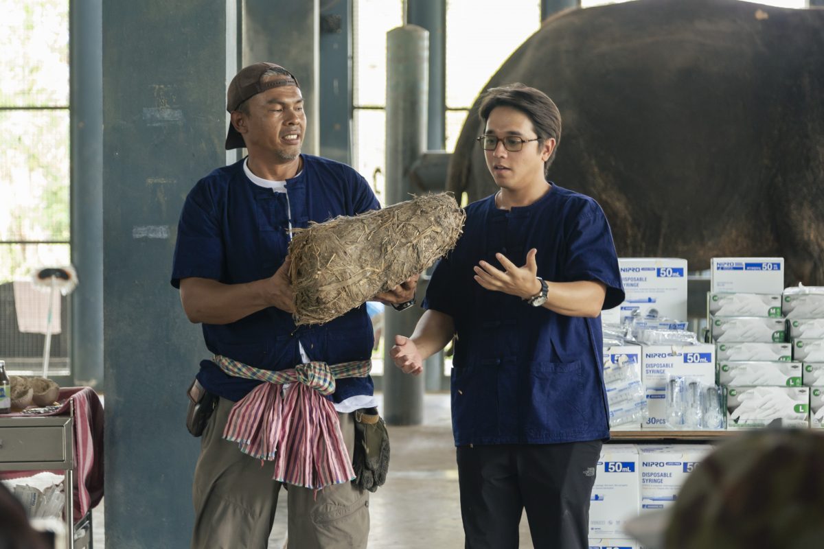 พิทักษ์ช้าง, อเล็กซ์ เรนเดลล์