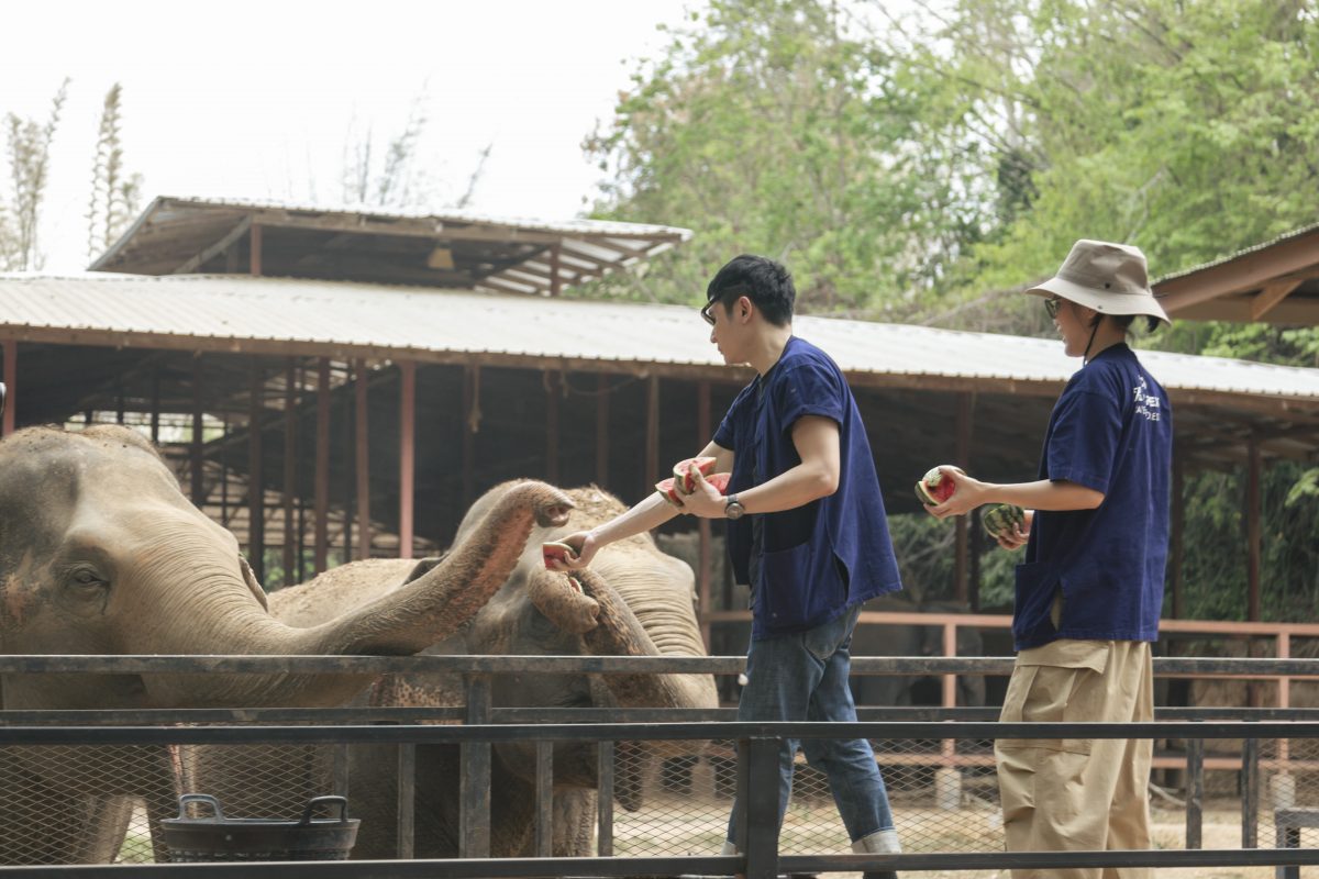 พิทักษ์ช้าง