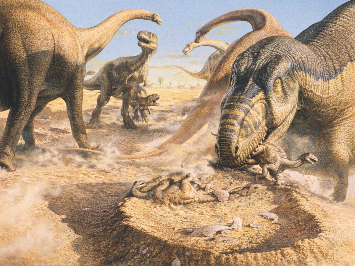 วิวัฒนาการไดโนเสาร์, ไดโนเสาร์, 