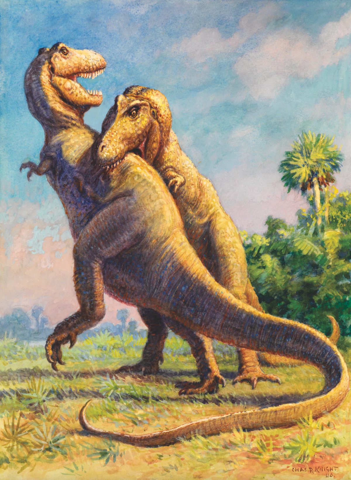 วิวัฒนาการไดโนเสาร์, ไดโนเสาร์, ทีเร็กซ์