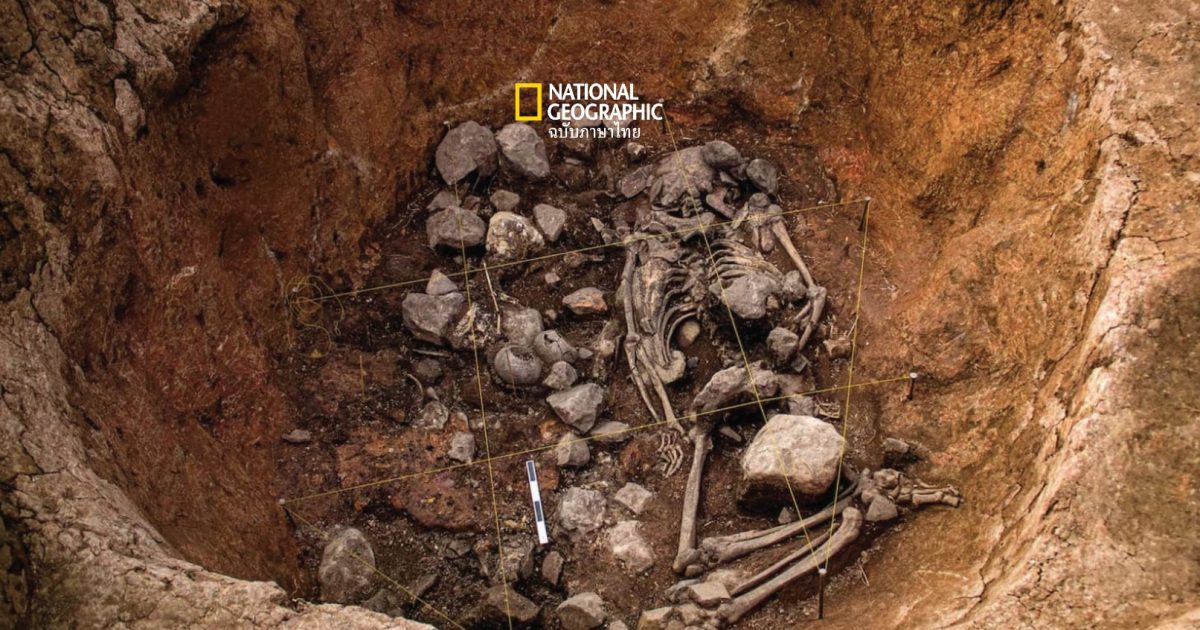 ขุดหลุมศพโบราณ 3,000 ปี  ก่อน ” ยุคอินคา ” น่าตะลึง
