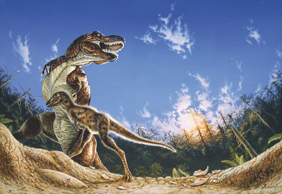 วิวัฒนาการไดโนเสาร์, ไดโนเสาร์, ทีเร็กซ์
